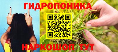 mix Сланцы