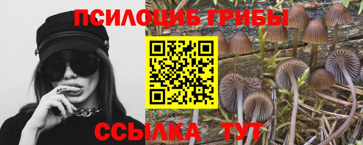 Холмск  Псилоцибиновые грибы Psilocybine cubensis  Псилоцибиновые грибы прущие грибы  Вход с VPN 