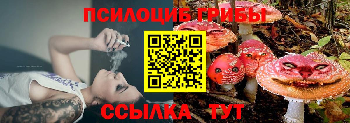 Псилоцибиновые грибы Cubensis Холмск